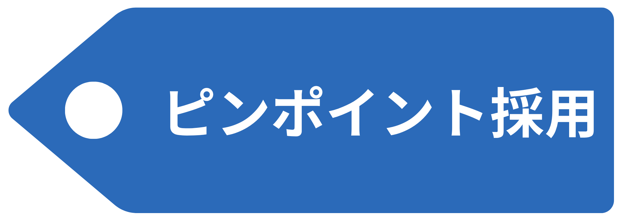 ピンポイント採用