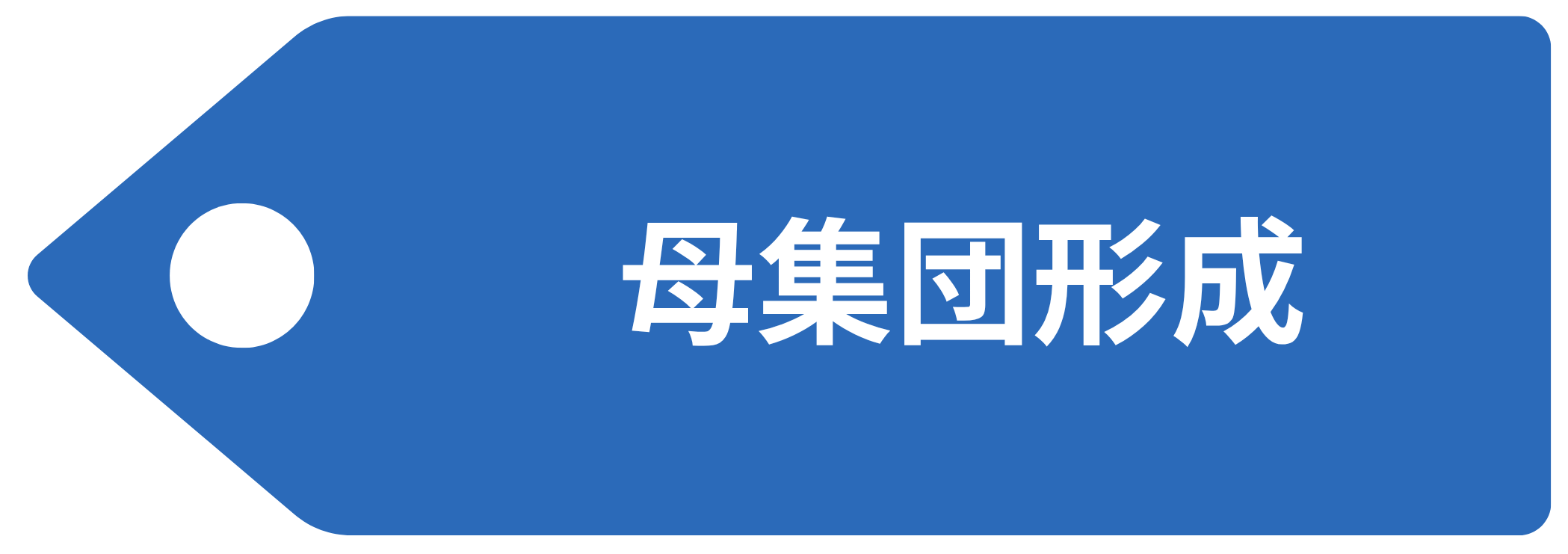 母集団形成