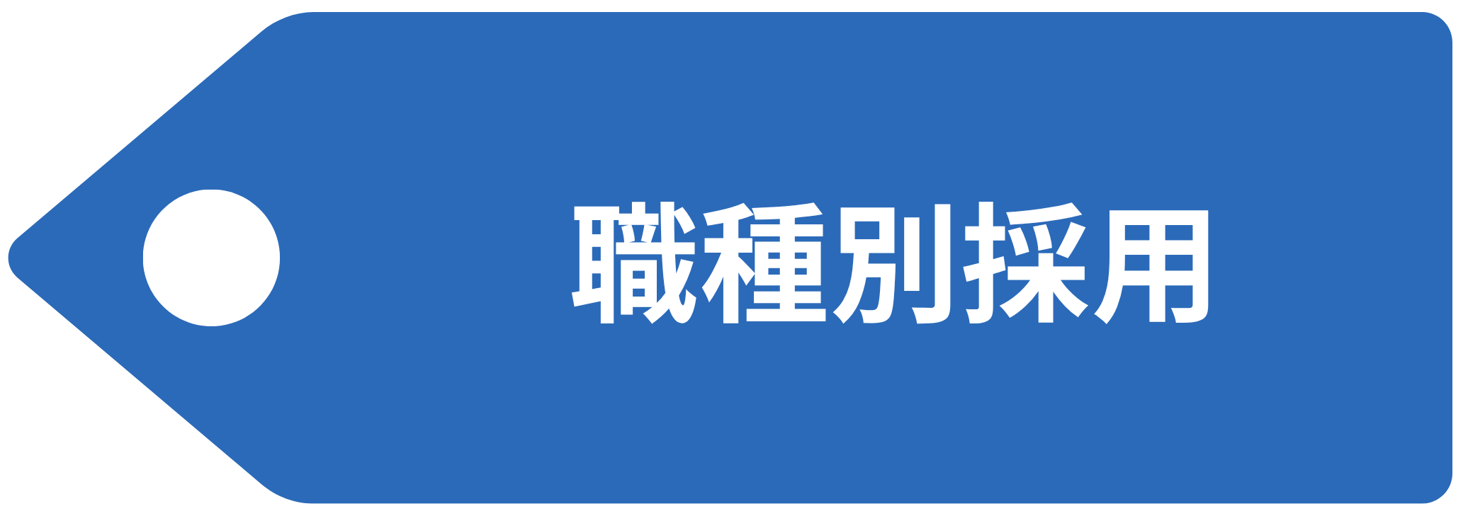 職種別採用